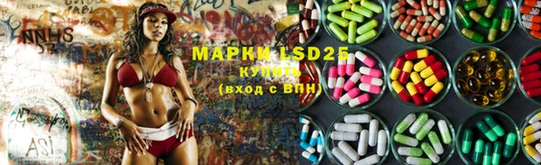 ешки Аркадак