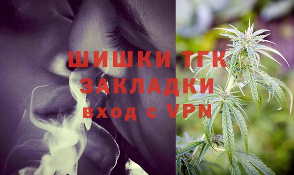 прущие грибы Арсеньев