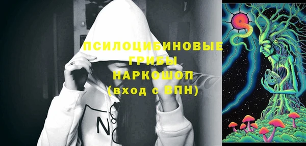 ешки Аркадак