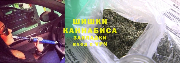 прущие грибы Арсеньев