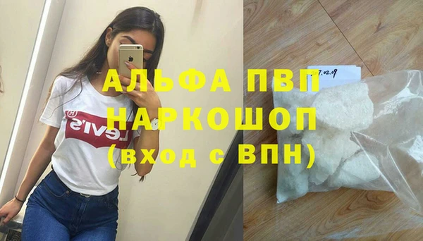 прущие грибы Арсеньев