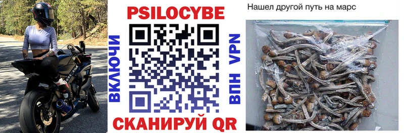 Псилоцибиновые грибы GOLDEN TEACHER Медынь